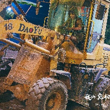 我的寵物是大象