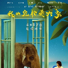 我的寵物是大象