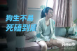 内容过于真实 《狗眼看人心》这组照片触动朋友圈