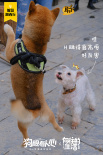 《狗眼看人心》曝光探班照 黃磊閆妮力挺妮蔻首秀