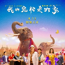 我的寵物是大象