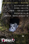 《狗眼看人心》曝樹洞畫 揭秘養(yǎng)狗人士的7個秘密
