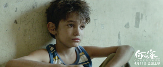 为人父母需要“资格证”？《何以为家》引发讨论