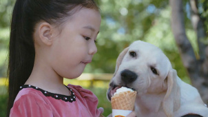 忠犬八公式萌宠 CCTV6电影频道4月24日15:54播出《小狗奶瓶》