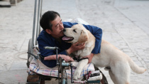 狗狗是人类最好的朋友 电影频道4月25日10：16播出《忠爱无言》