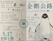 可愛！《企鵝公路》曝海報 日記體解讀片中人物