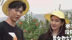 “美妆博主”江疏影科普加安利 软籽石榴抗氧化还能美颜