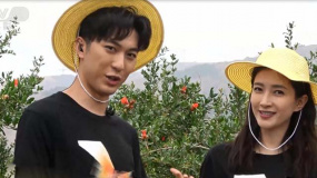 江疏影云南永胜调研 化身美食博主分享食用蘑菇养生秘诀