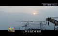 《港珠澳大橋》：工作強(qiáng)度建造難度的極限，也是文化情懷的極限