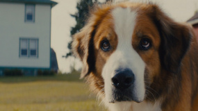 《一条狗的使命2》定档预告片