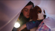 《一条狗的使命2》最萌爱神版预告片