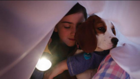 《一条狗的使命2》最萌爱神版预告片