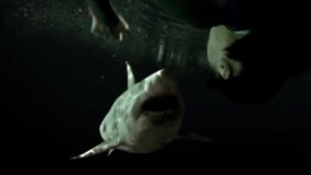 《鲨海47：猛鲨出笼》预告片
