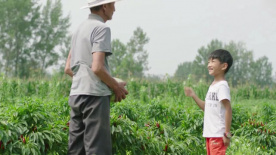 40万低成本电影《过昭关》 入围“上影节”电影频道传媒关注单元
