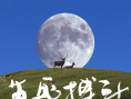 生死搏斗