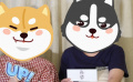 小電君第22屆上海國際電影節(jié)vlog第四彈來啦！