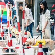 小Q