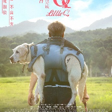 小Q
