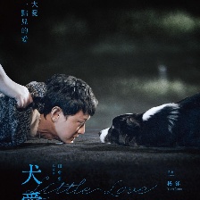 犬爱
