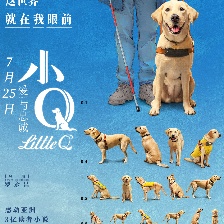 小Q