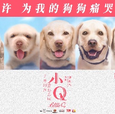 小Q
