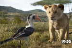 《狮子王》背后的故事 开创VR拍摄复刻非洲草原
