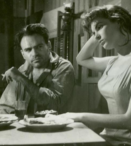 多瑙河之波（译制版）