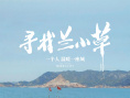 寻找兰小草