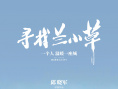 寻找兰小草