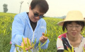 成龍為大同黃花代言打call：請(qǐng)大力支持大同，支持農(nóng)民們！