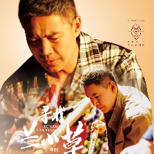 尋找蘭小草