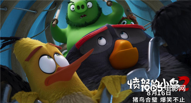 《愤怒的小鸟2》曝新预告 猪鸟同心协力欢乐尬舞(图5)