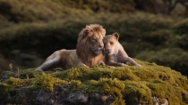 电影《狮子王》发布日版主题曲版预告