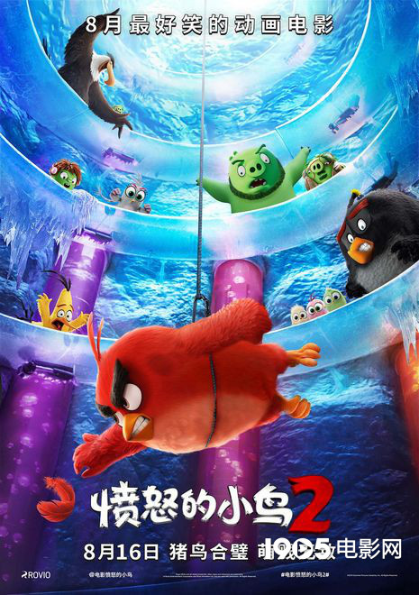 《愤怒的小鸟2》发布中文预告 猪鸟变乌龙特工(图1)