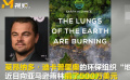 亞馬遜雨林火勢觸目驚心 小李子“地球聯(lián)盟”捐款500萬美元