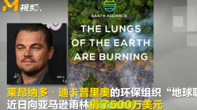 亞馬遜雨林火勢觸目驚心 小李子“地球聯(lián)盟”捐款500萬美元