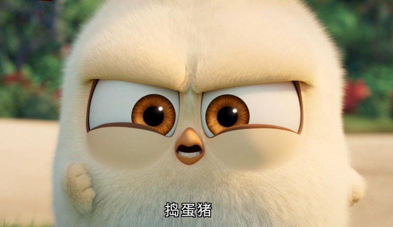 愤怒的小鸟2猪朋鸟友版电视预告