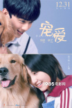徐崢監(jiān)制電影《寵愛》首曝演員陣容 定檔12月31日