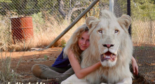 真狮出镜！法国电影《白狮奇缘》定档9月20日_欧洲_电影网_1905.com