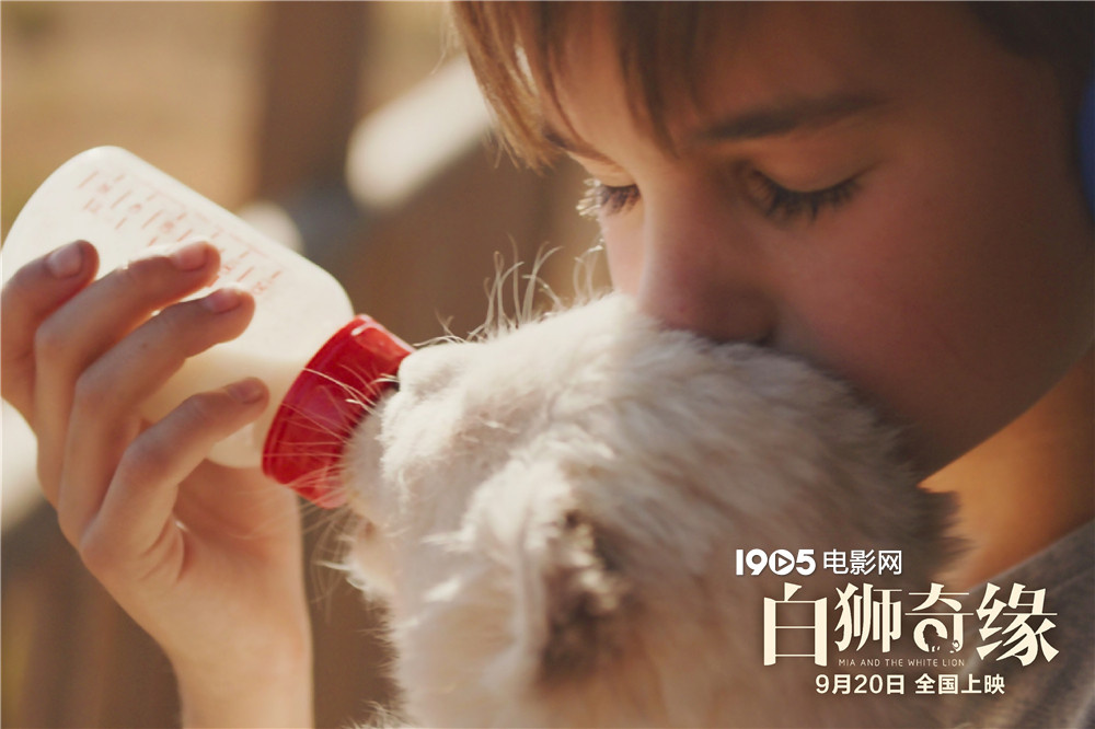 《白狮奇缘》曝剧照 狮乐园温暖升级