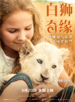 来“撸狮”！《白狮奇缘》曝剧照 狮乐园温暖升级