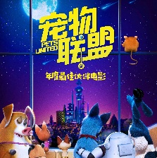 寵物聯(lián)盟