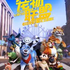 寵物聯(lián)盟