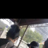 陪趙又廷拍戲？橫店偶遇高圓圓 單手抱娃展媽媽力