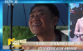 三部新片同天發(fā)布宣傳曲 齊秦、莫文蔚等詮釋愛情百般滋味