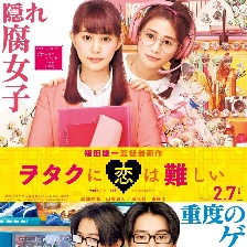 宅男腐女恋爱真难