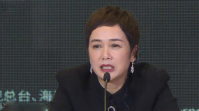 海南岛国际电影节“金椰奖”评委亮相 蒋雯丽谈评选标准