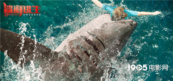 《鲨海逃生》发布先导预告 上演47米深潜惊魂危机