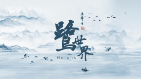 《鷺世界》故事版預告片 看一只蒼鷺的生存史詩