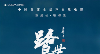 《鷺世界》五大看點(diǎn)揭秘 蒼鷺罕見生存狀態(tài)首曝光